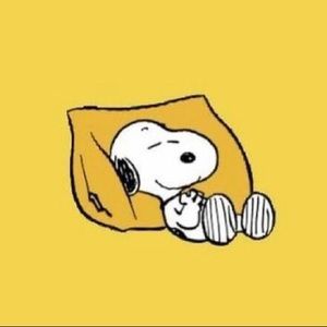 Meet your Posher, Molly